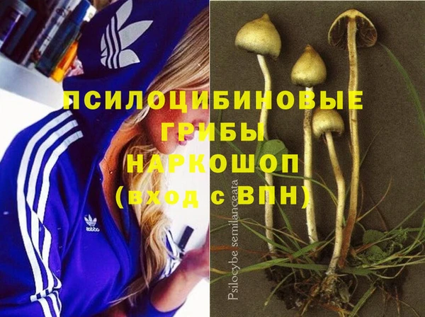 винт Вяземский