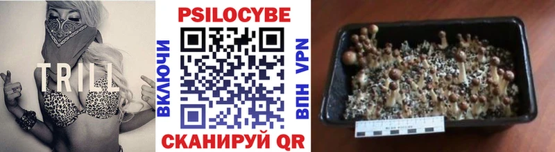 Купить закладки Ленинск-Кузнецкий Псилоцибиновые грибы Psilocybe